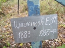 Семеновское (старое) кладбище_13