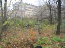 Семеновское (старое) кладбище_153