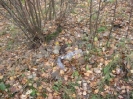 Семеновское (старое) кладбище_161
