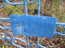 Семеновское (старое) кладбище_202